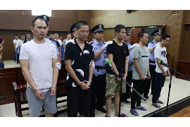 赤城融资清欠服务